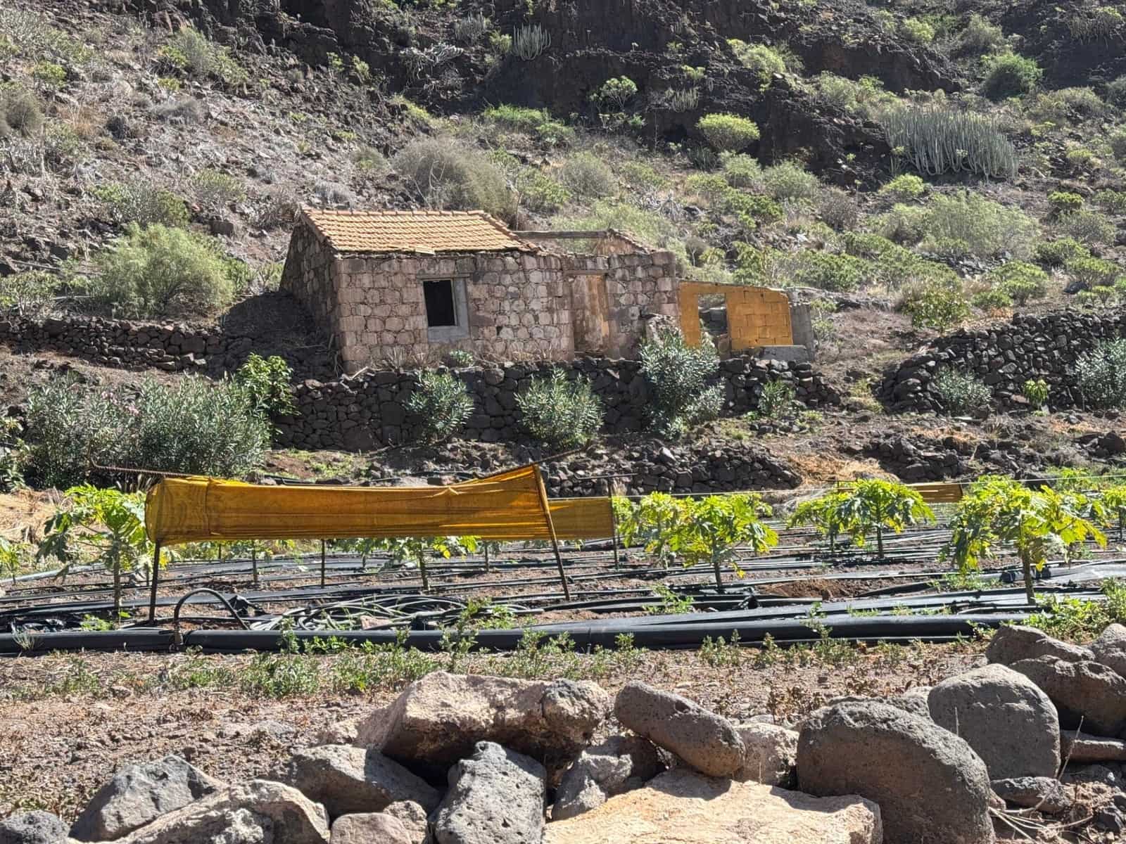 4 soverom Finca/Herregård til salgs i La Aldea de San Nicolas - € 1 200 000 (Ref: 8806161)