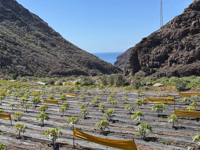 4 bedroom Finca/Country House for sale in La Aldea de San Nicolas - € 1,200,000 (Ref: 8806161)