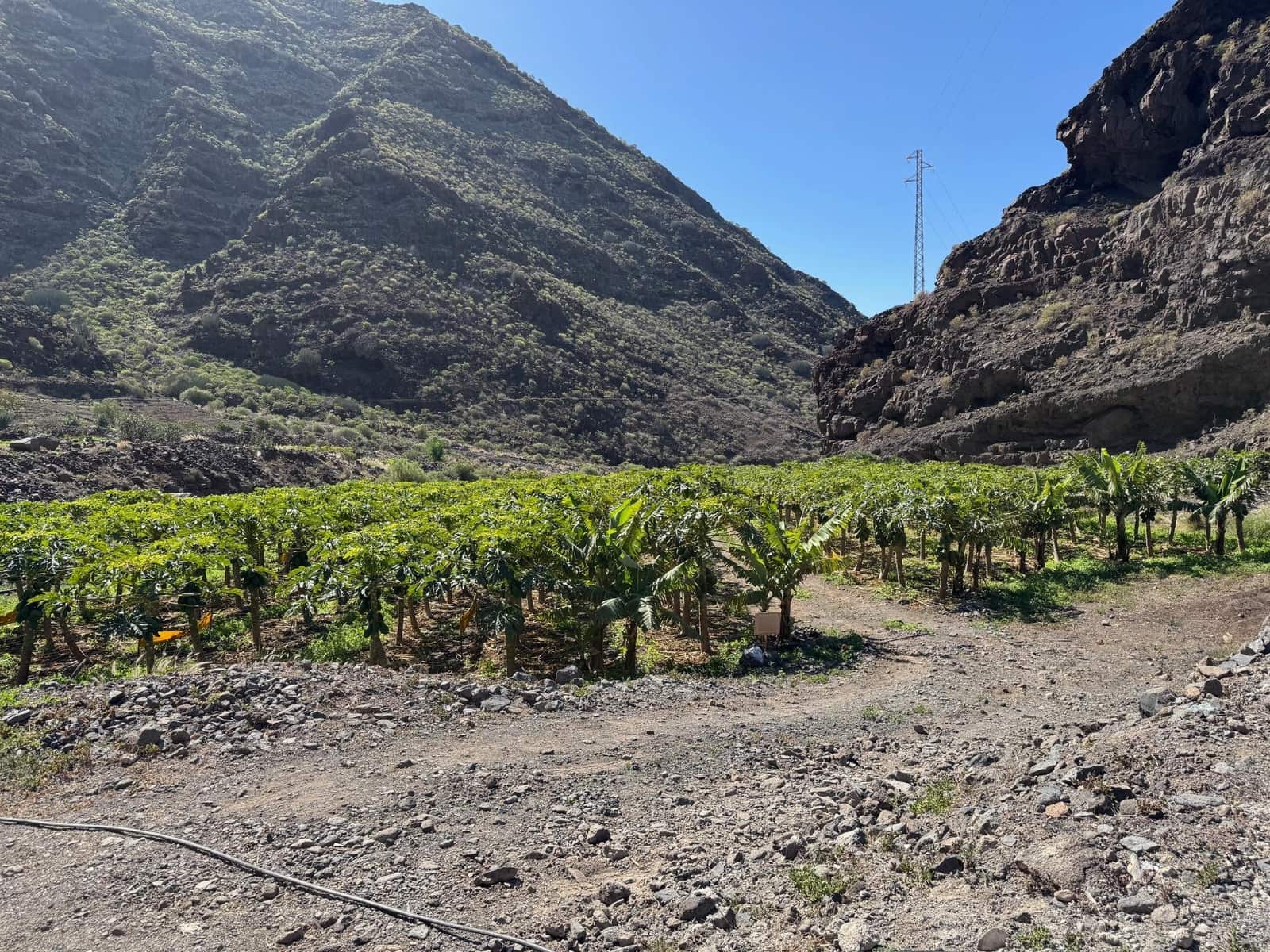 4 soverom Finca/Herregård til salgs i La Aldea de San Nicolas - € 1 200 000 (Ref: 8806161)