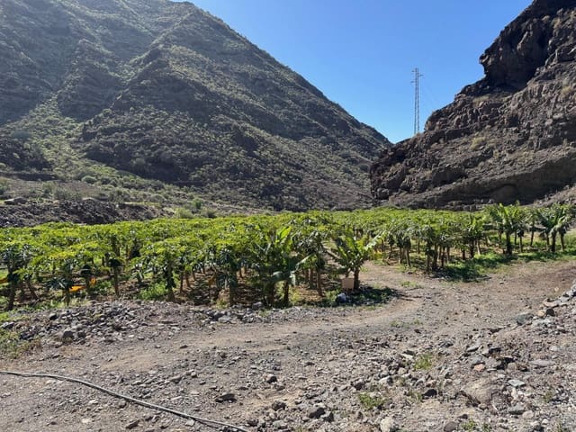 4 bedroom Finca/Country House for sale in La Aldea de San Nicolas - € 1,200,000 (Ref: 8806161)