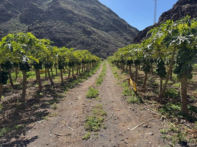 4 bedroom Finca/Country House for sale in La Aldea de San Nicolas - € 1,200,000 (Ref: 8806161)