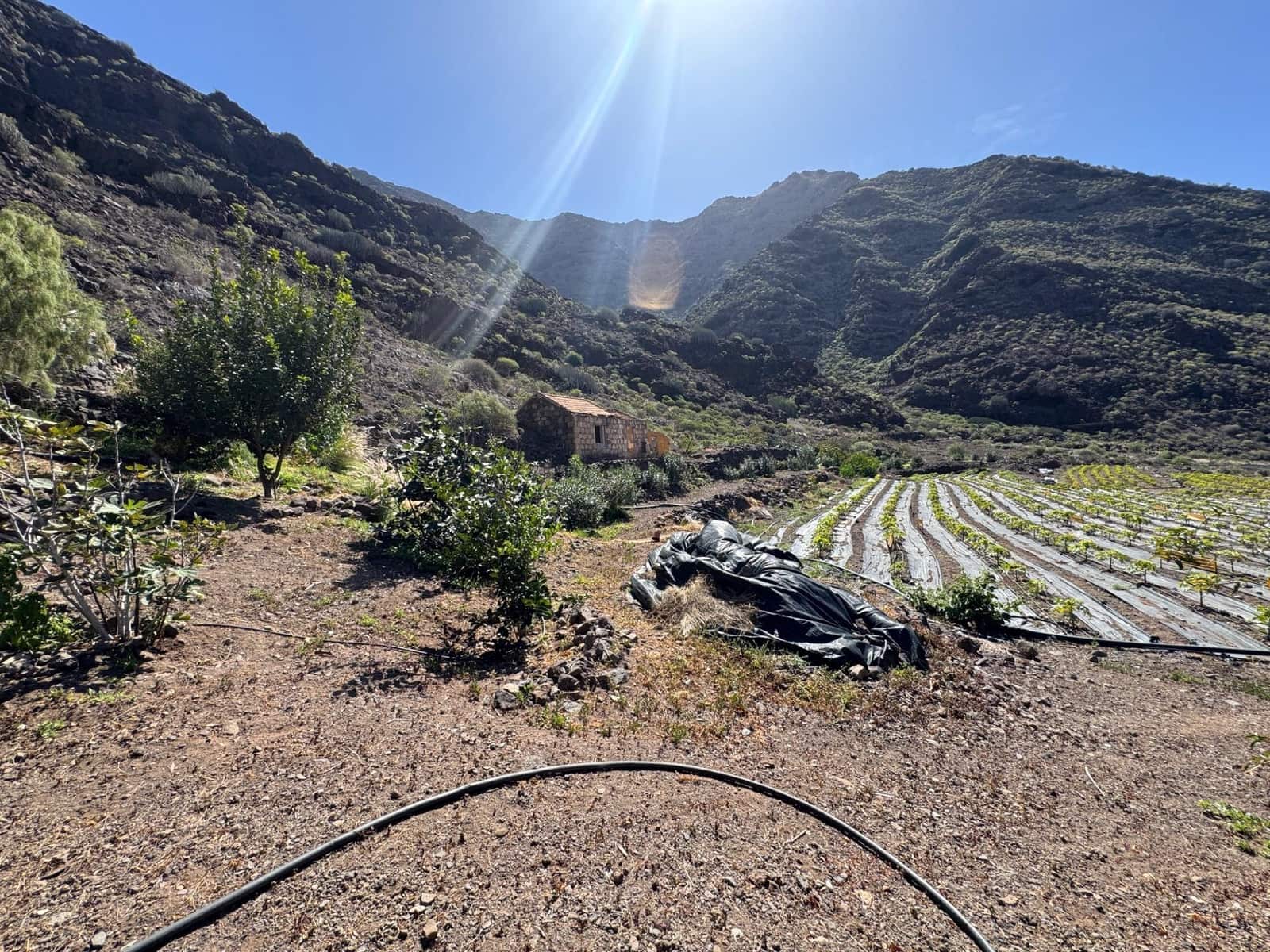 4 soverom Finca/Herregård til salgs i La Aldea de San Nicolas - € 1 200 000 (Ref: 8806161)