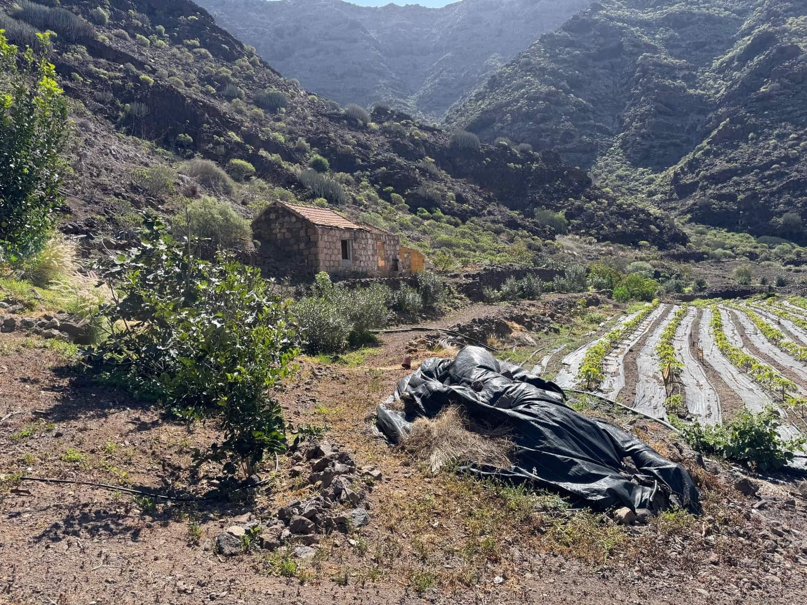 4 soverom Finca/Herregård til salgs i La Aldea de San Nicolas - € 1 200 000 (Ref: 8806161)