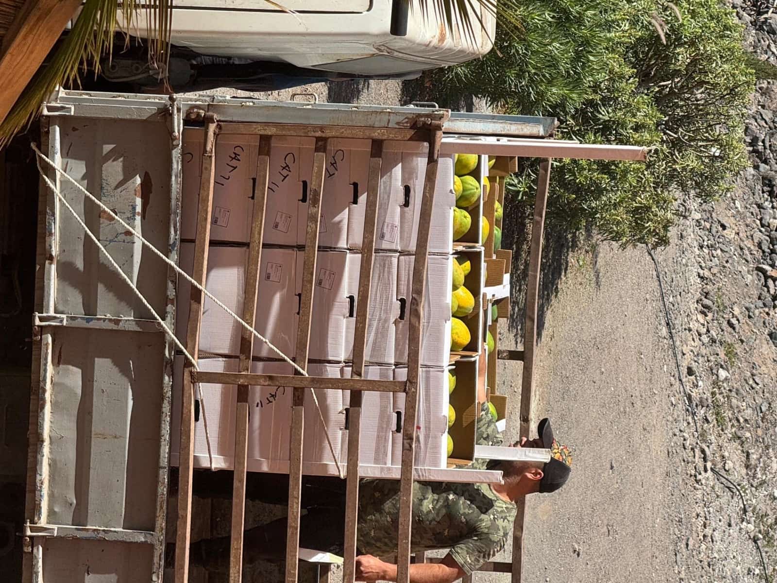 4 soverom Finca/Herregård til salgs i La Aldea de San Nicolas - € 1 200 000 (Ref: 8806161)