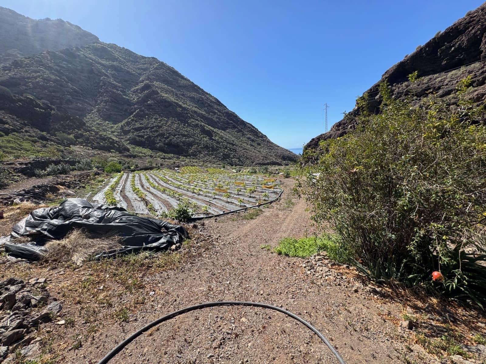 4 soverom Finca/Herregård til salgs i La Aldea de San Nicolas - € 1 200 000 (Ref: 8806161)