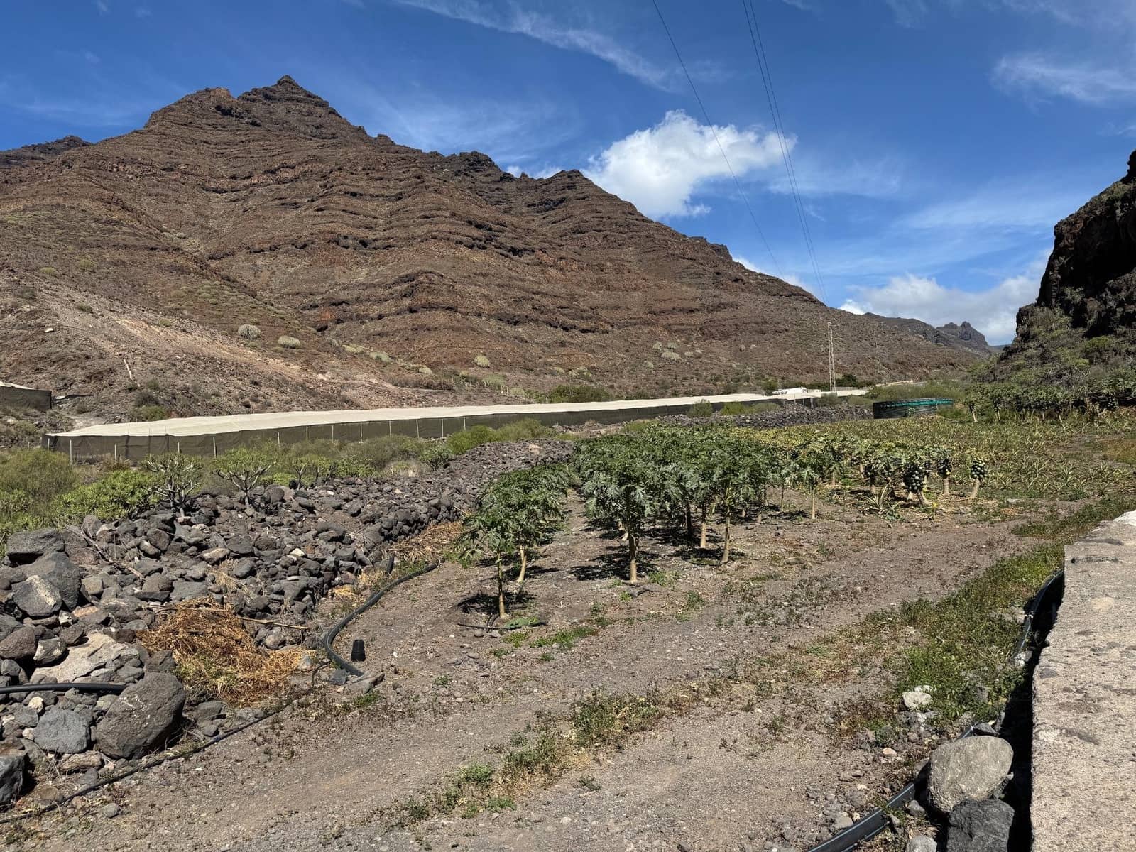 4 soverom Finca/Herregård til salgs i La Aldea de San Nicolas - € 1 200 000 (Ref: 8806161)