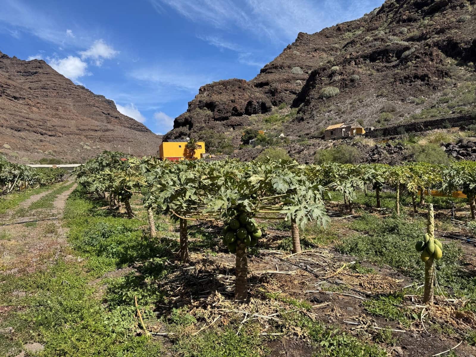 4 soverom Finca/Herregård til salgs i La Aldea de San Nicolas - € 1 200 000 (Ref: 8806161)