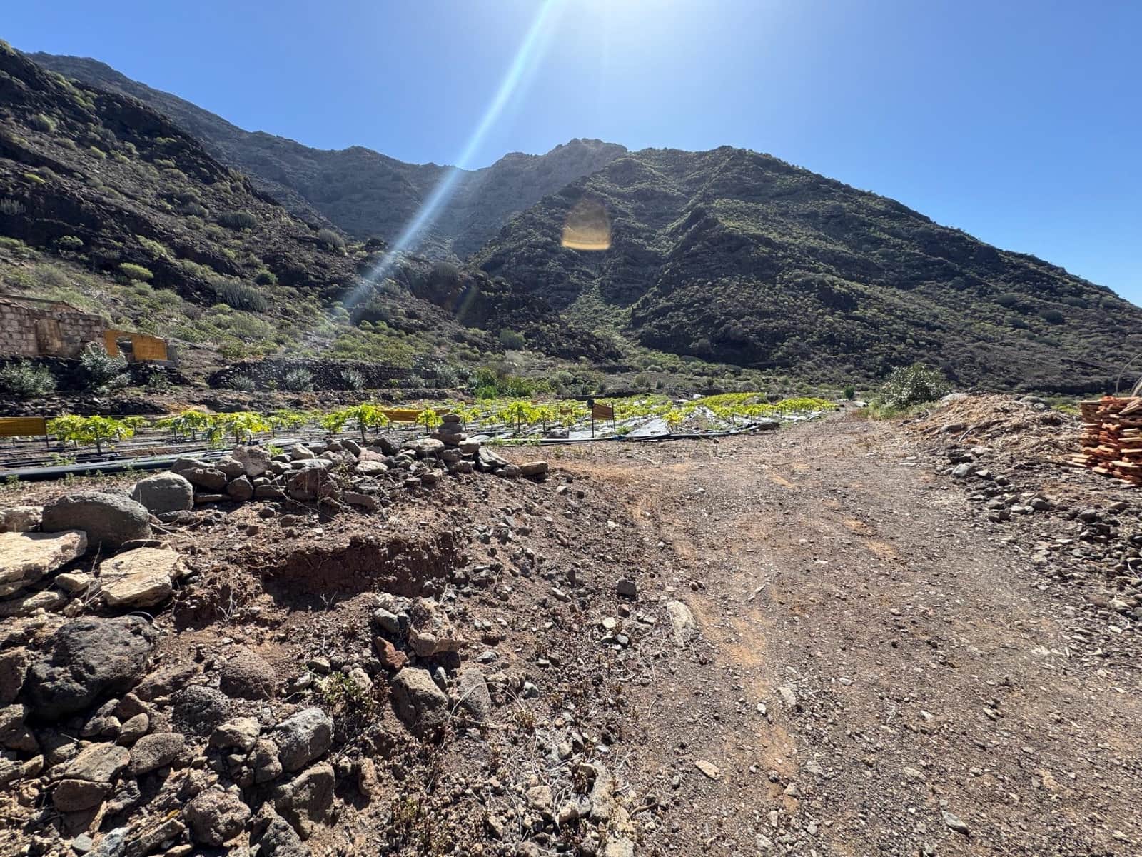 4 soverom Finca/Herregård til salgs i La Aldea de San Nicolas - € 1 200 000 (Ref: 8806161)