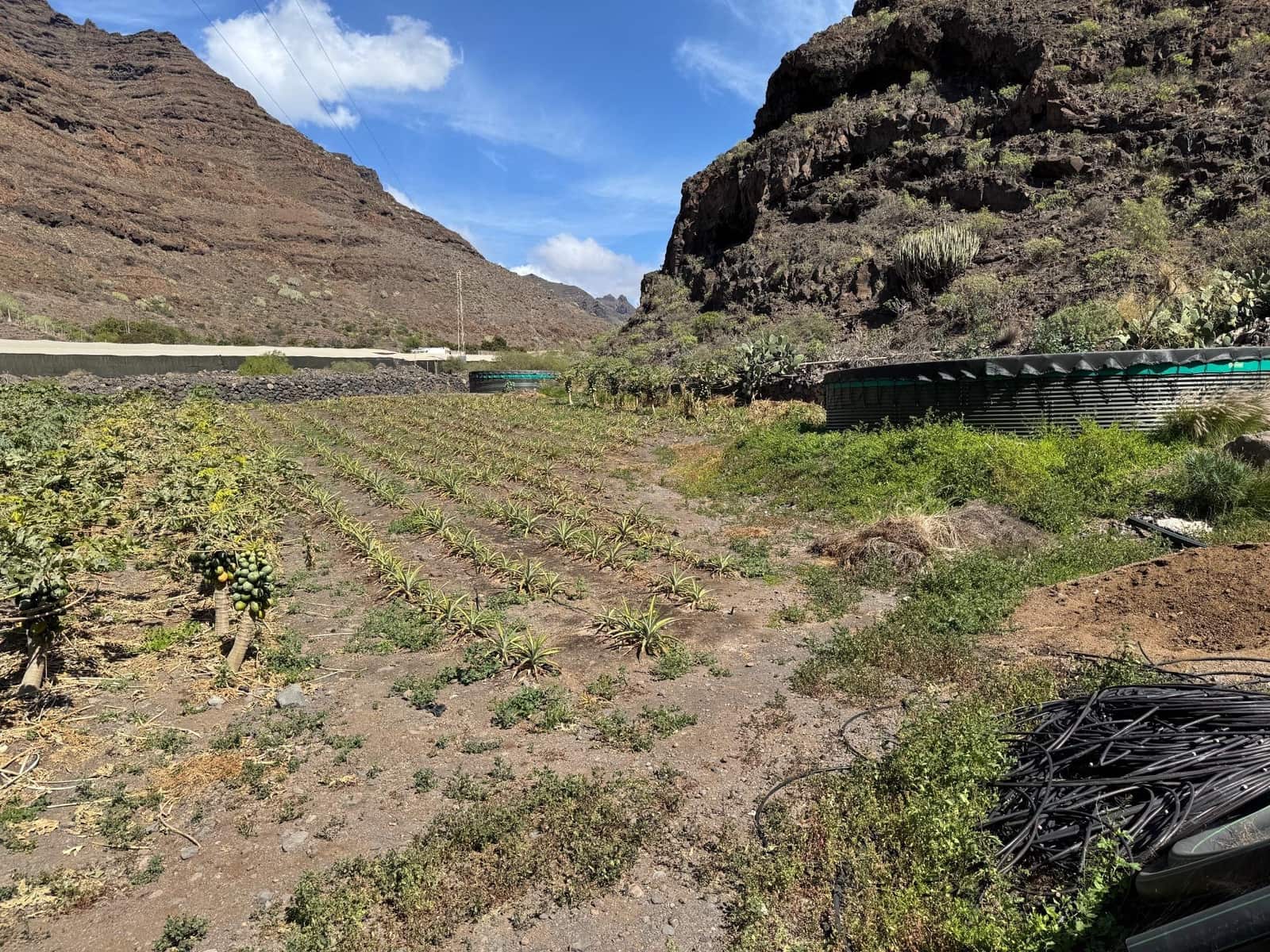 4 soverom Finca/Herregård til salgs i La Aldea de San Nicolas - € 1 200 000 (Ref: 8806161)