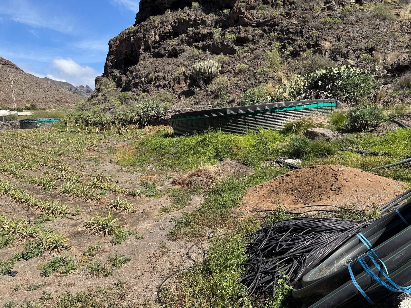 4 soverom Finca/Herregård til salgs i La Aldea de San Nicolas - € 1 200 000 (Ref: 8806161)