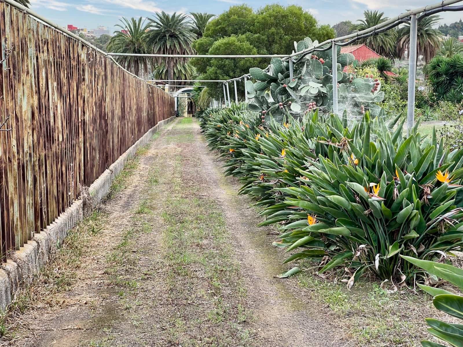 5 soverom Villa til salgs i Santa Brigida med svømmebasseng - € 840 000 (Ref: 8930364)