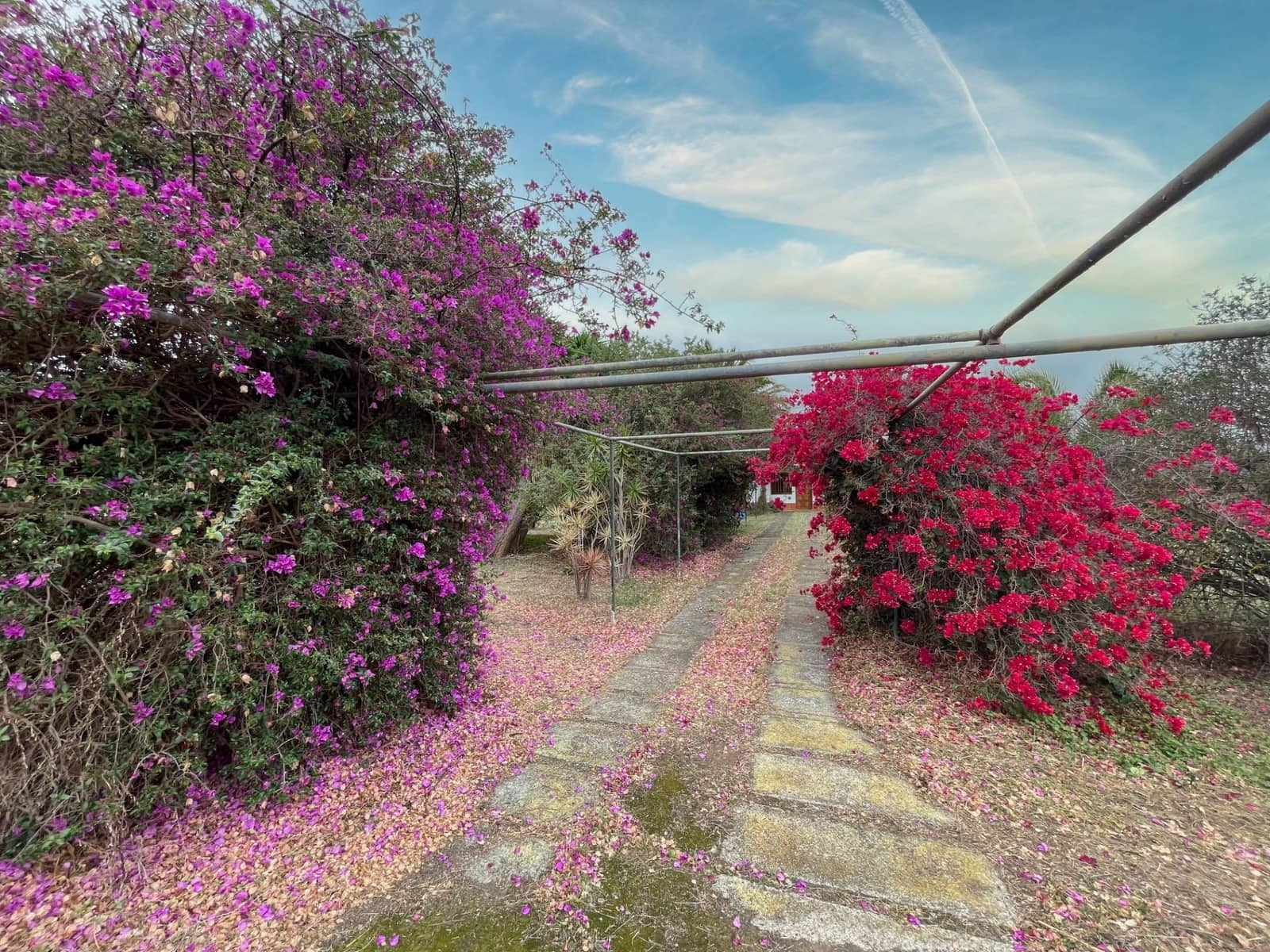 5 soverom Villa til salgs i Santa Brigida med svømmebasseng - € 840 000 (Ref: 8930364)