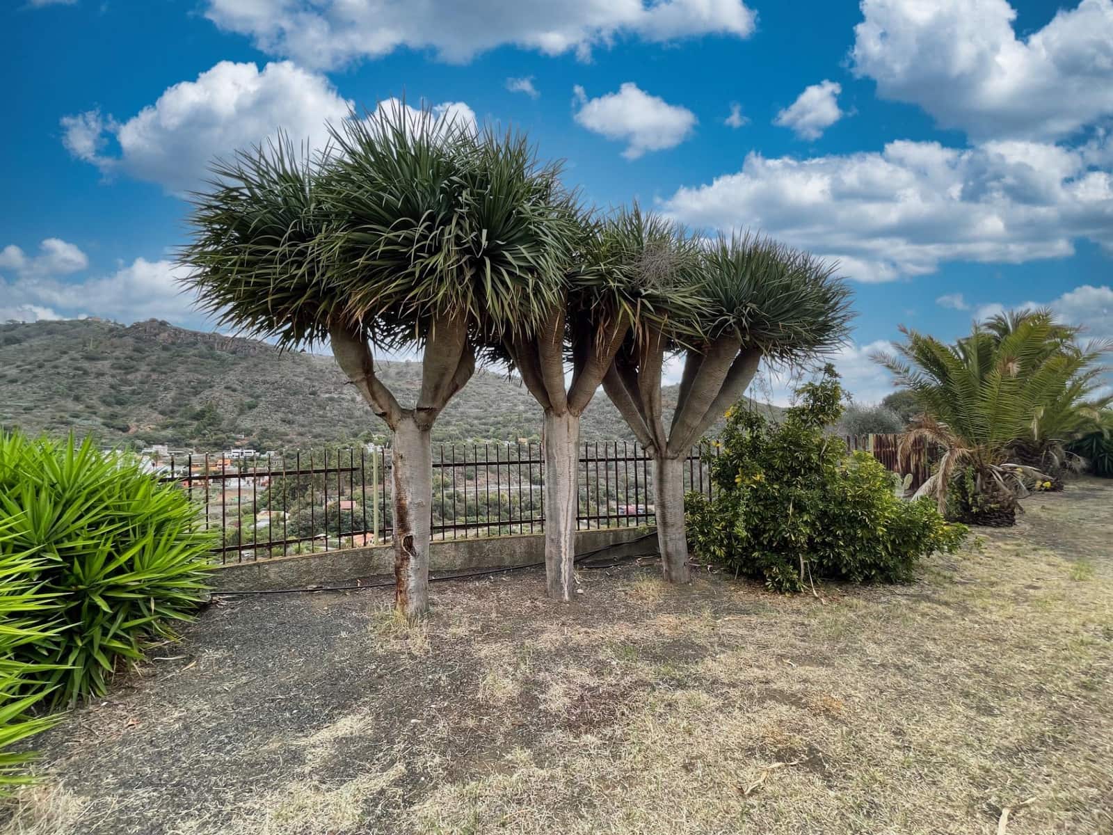 5 soverom Villa til salgs i Santa Brigida med svømmebasseng - € 840 000 (Ref: 8930364)