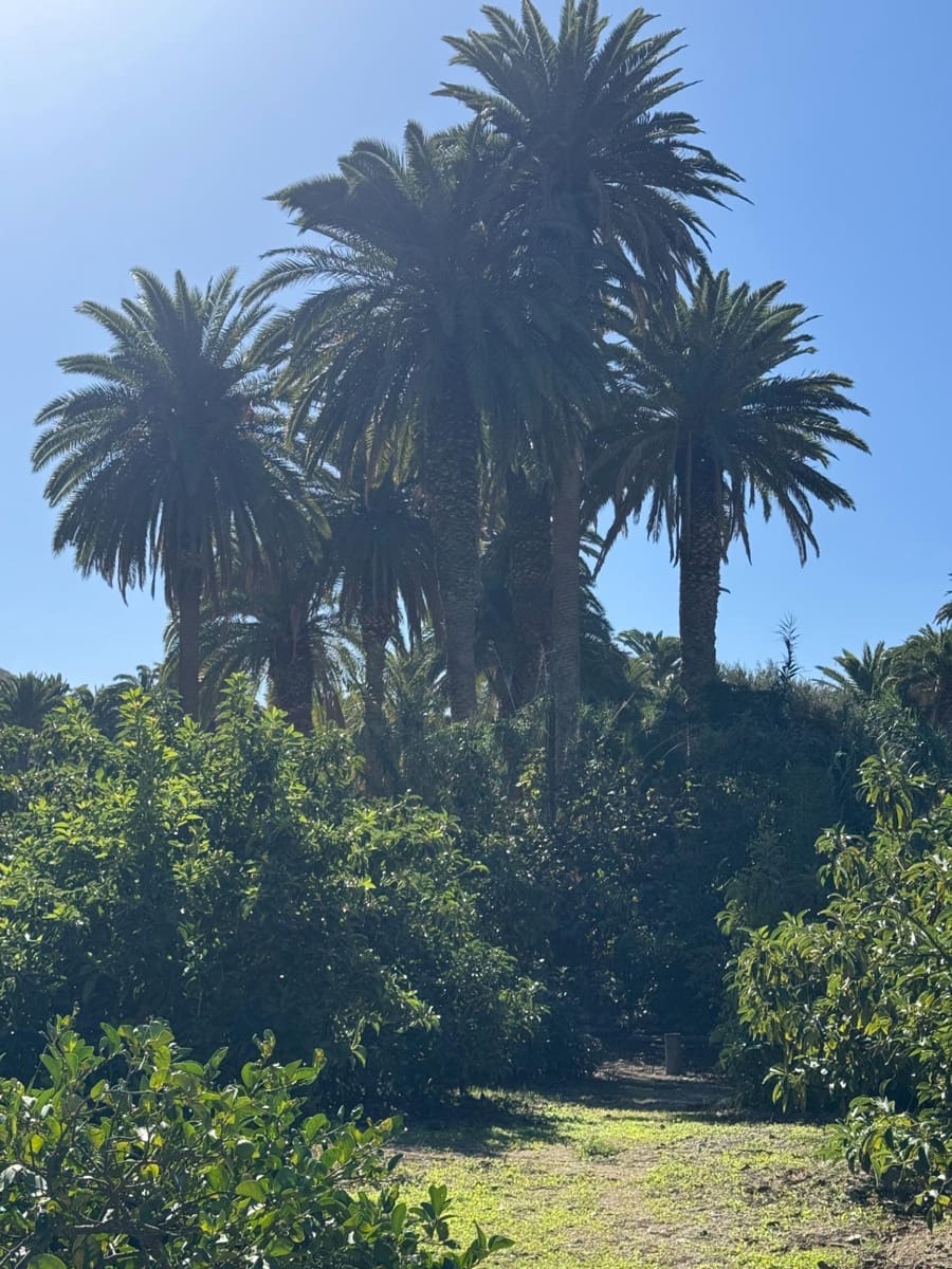 5 bedroom Finca/Country House for sale in San Bartolome de Tirajana - € 537,000 (Ref: 9446335)