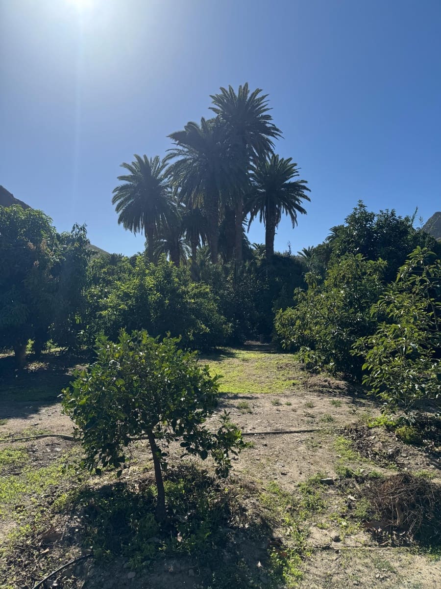 5 bedroom Finca/Country House for sale in San Bartolome de Tirajana - € 537,000 (Ref: 9446335)