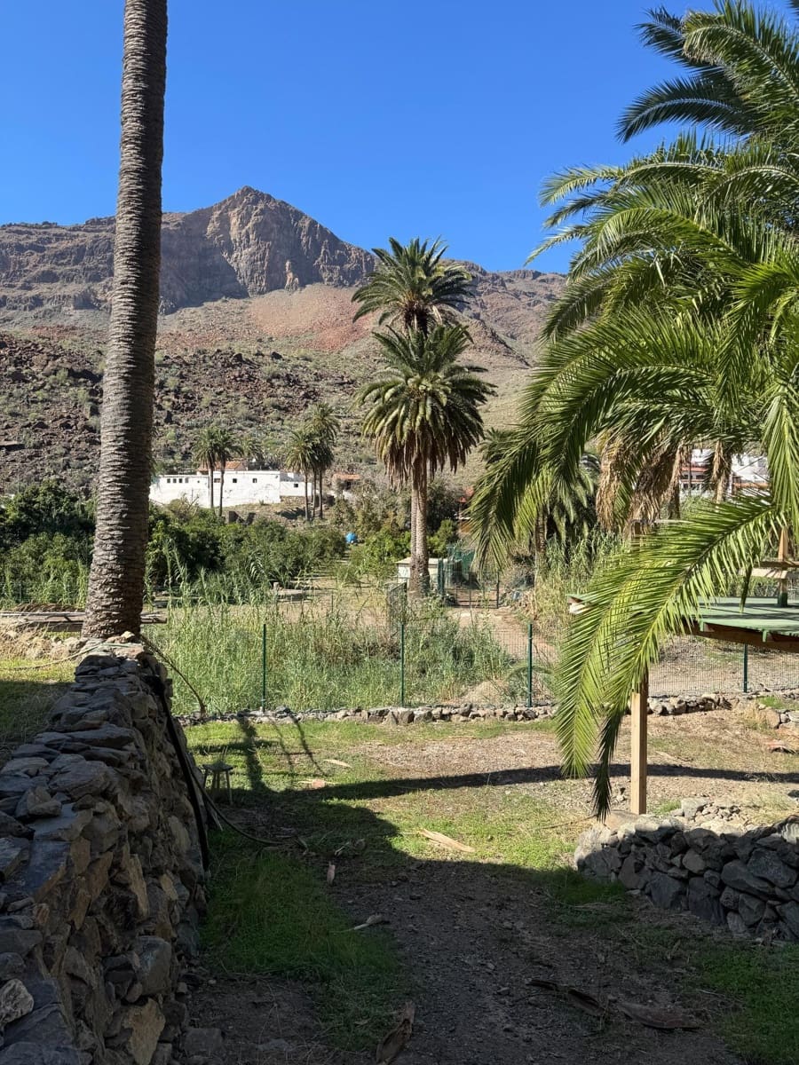 5 bedroom Finca/Country House for sale in San Bartolome de Tirajana - € 537,000 (Ref: 9446335)