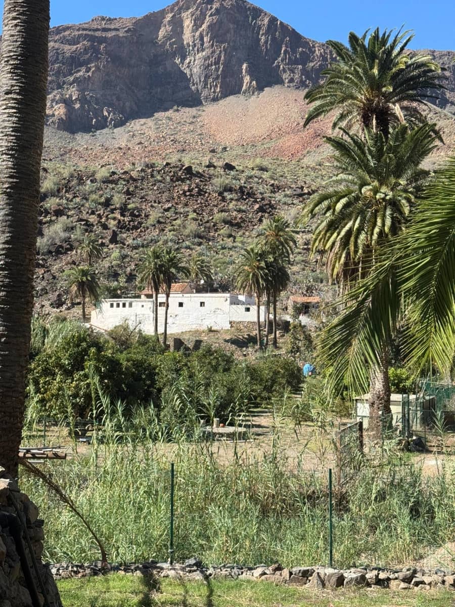 5 bedroom Finca/Country House for sale in San Bartolome de Tirajana - € 537,000 (Ref: 9446335)