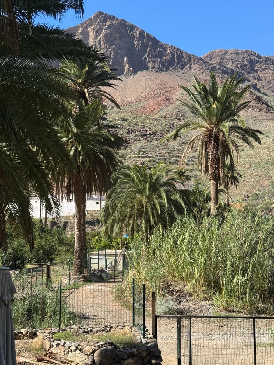 5 bedroom Finca/Country House for sale in San Bartolome de Tirajana - € 537,000 (Ref: 9446335)