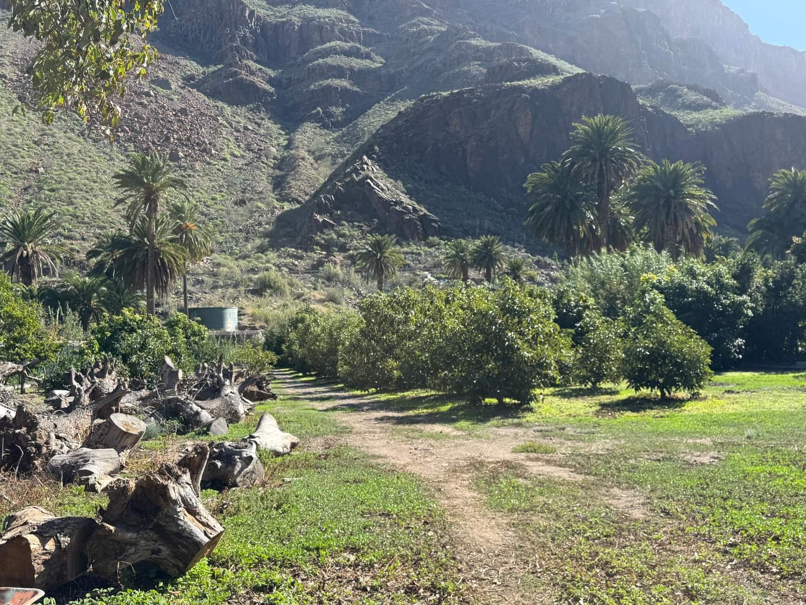 5 bedroom Finca/Country House for sale in San Bartolome de Tirajana - € 537,000 (Ref: 9446335)