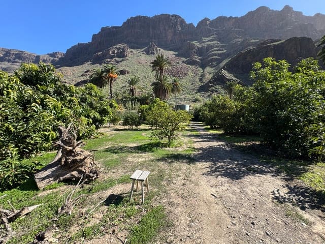 5 soveværelse Finca/Landehus til salg i San Bartolomé de Tirajana - € 537.000 (Ref: 9446335)