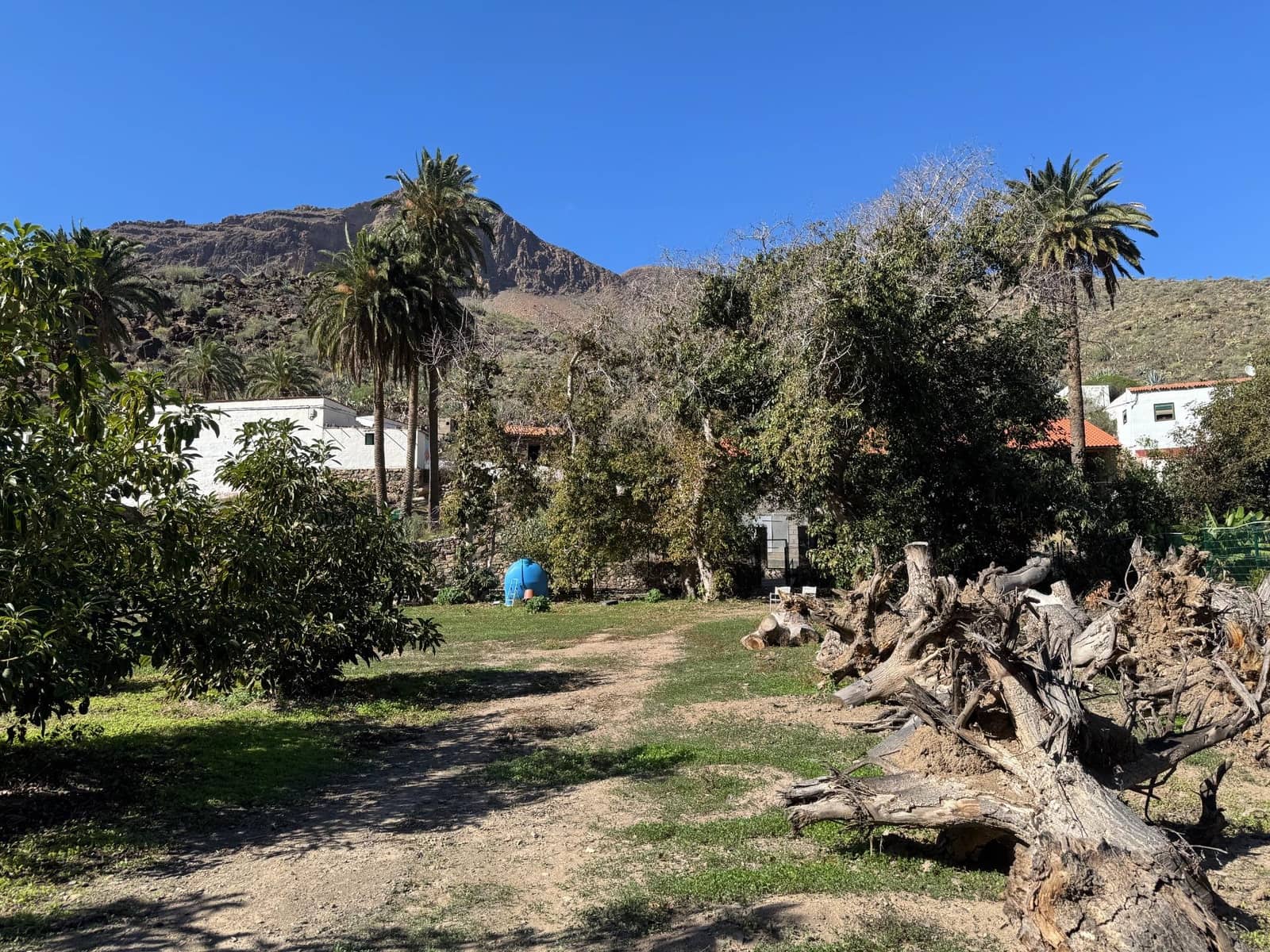 5 bedroom Finca/Country House for sale in San Bartolome de Tirajana - € 537,000 (Ref: 9446335)