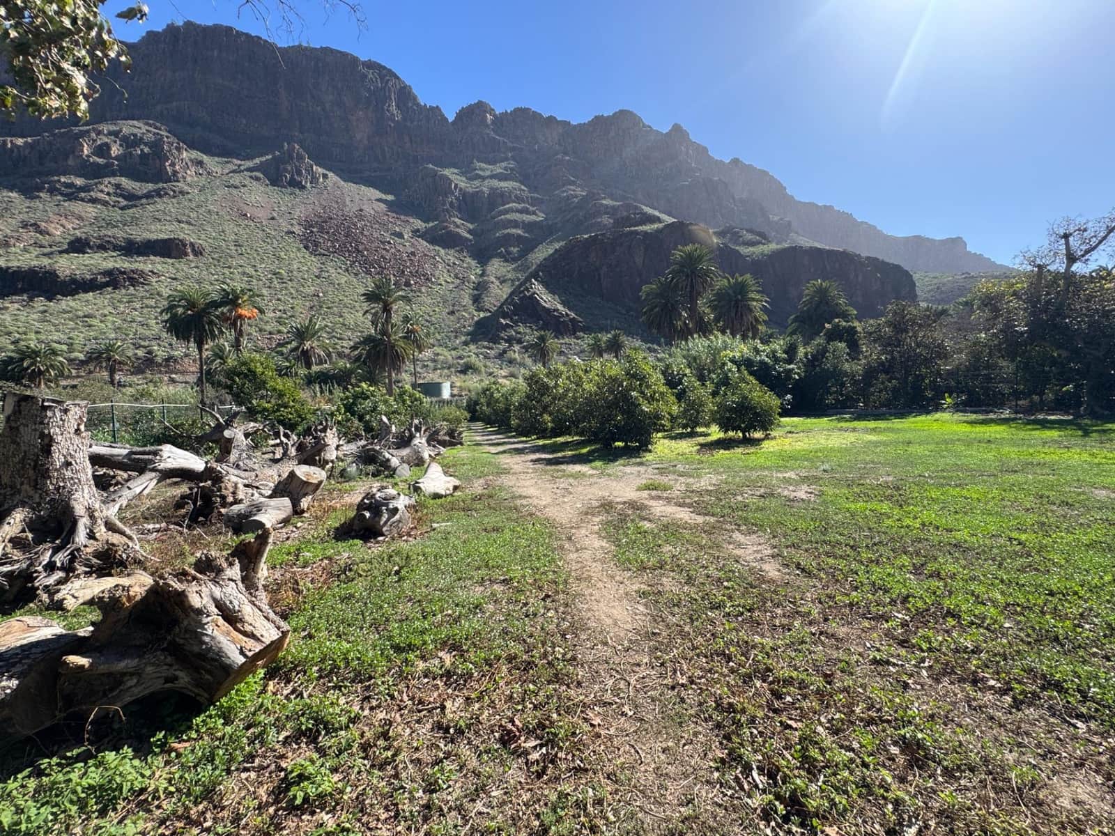 5 bedroom Finca/Country House for sale in San Bartolome de Tirajana - € 537,000 (Ref: 9446335)