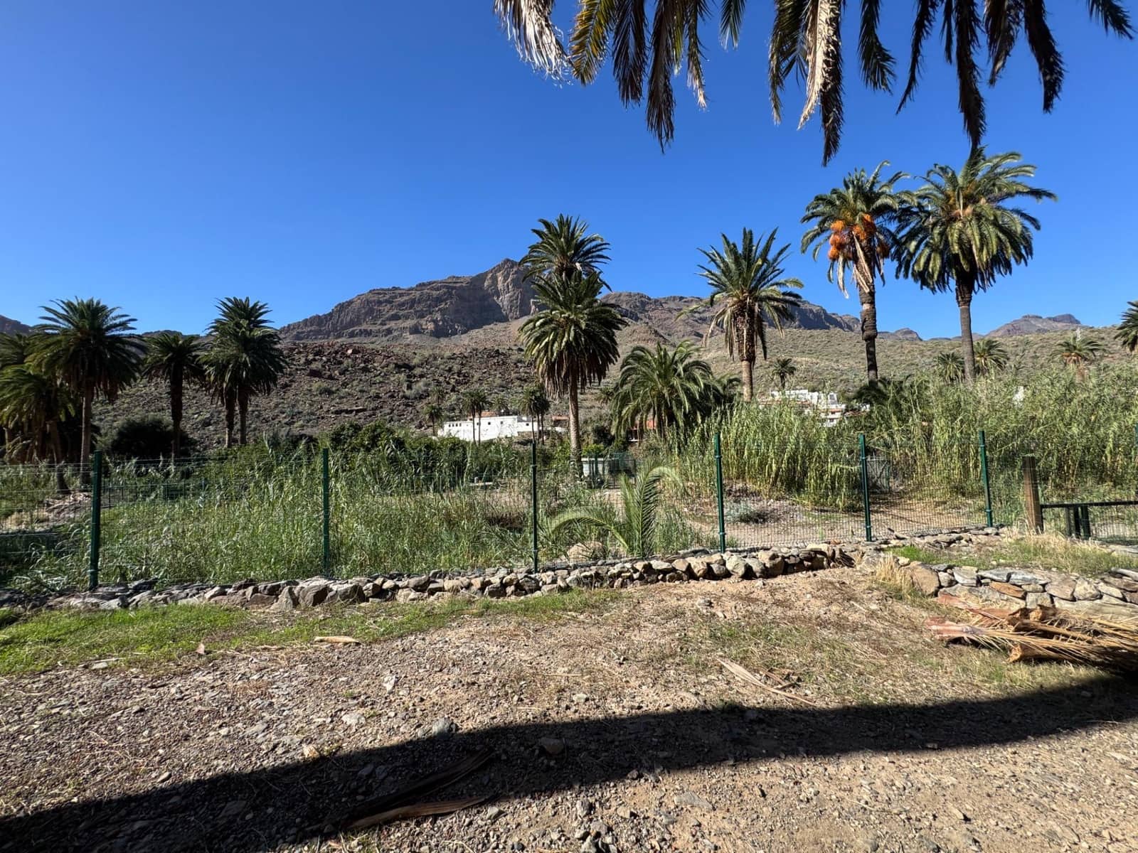 5 bedroom Finca/Country House for sale in San Bartolome de Tirajana - € 537,000 (Ref: 9446335)