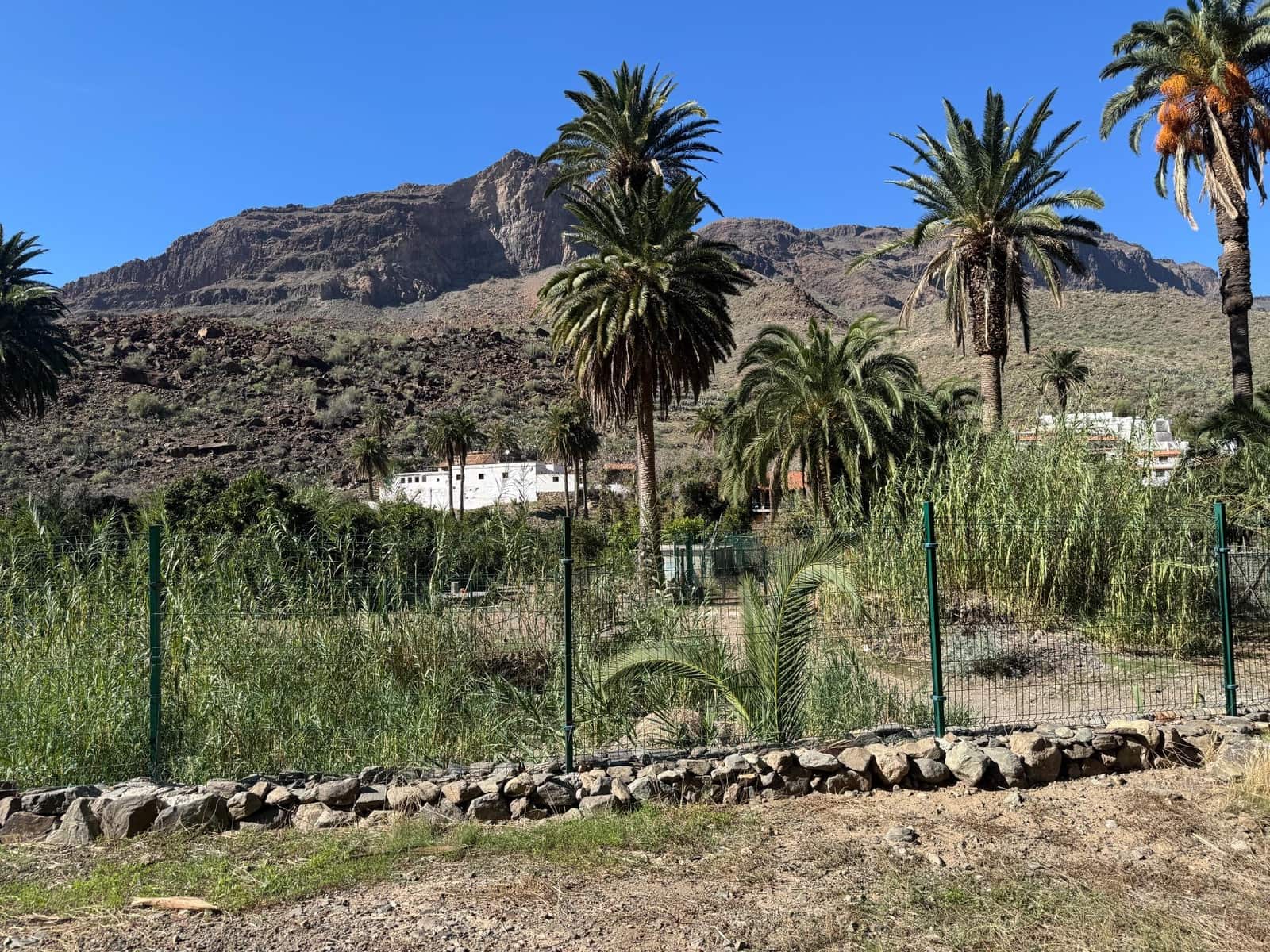 5 bedroom Finca/Country House for sale in San Bartolome de Tirajana - € 537,000 (Ref: 9446335)