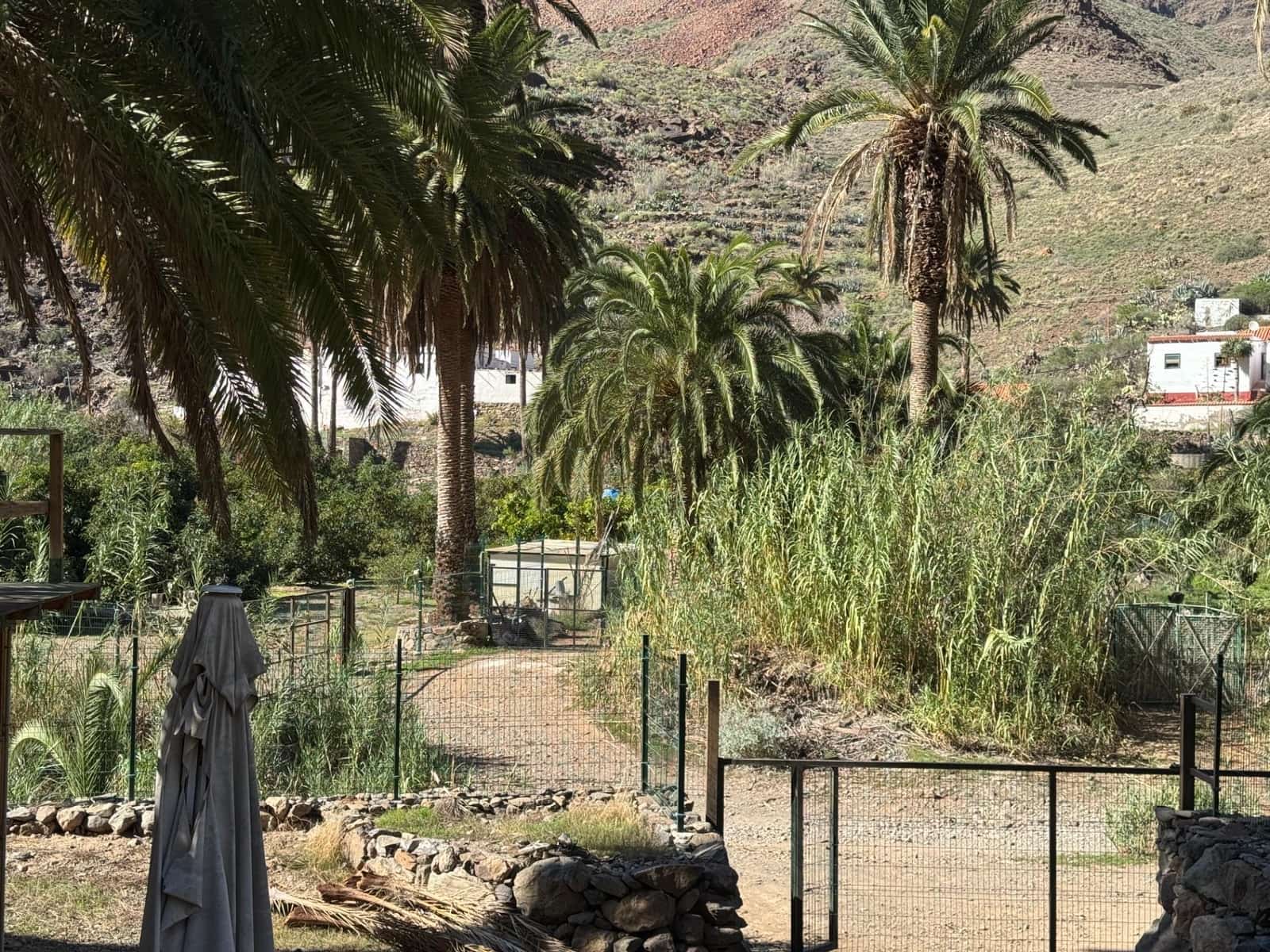 5 bedroom Finca/Country House for sale in San Bartolome de Tirajana - € 537,000 (Ref: 9446335)