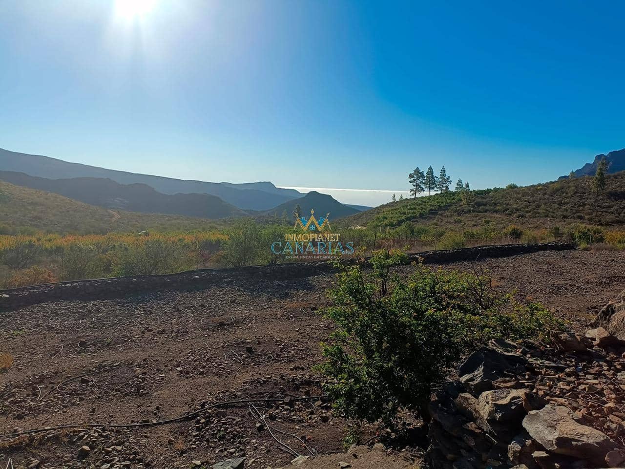 2 Zimmer Haus zu verkaufen in San Bartolome de Tirajana - 335.000 € (Ref: 9547581)