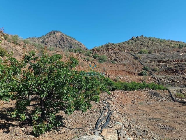 2 Zimmer Haus zu verkaufen in San Bartolomé de Tirajana - 335.000 € (Ref: 9547581)