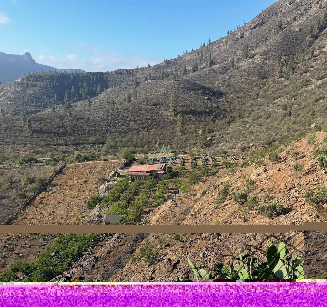 2 Zimmer Haus zu verkaufen in San Bartolome de Tirajana - 335.000 € (Ref: 9547581)