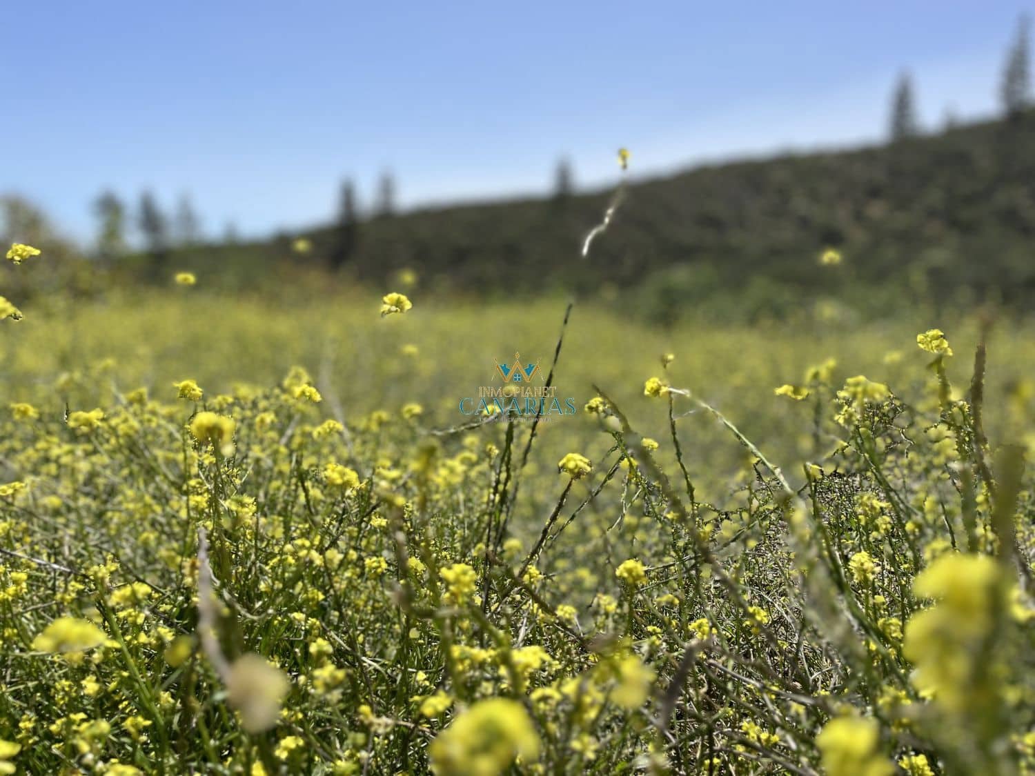 2 bedroom Townhouse for sale in San Bartolome de Tirajana - € 335,000 (Ref: 9547581)