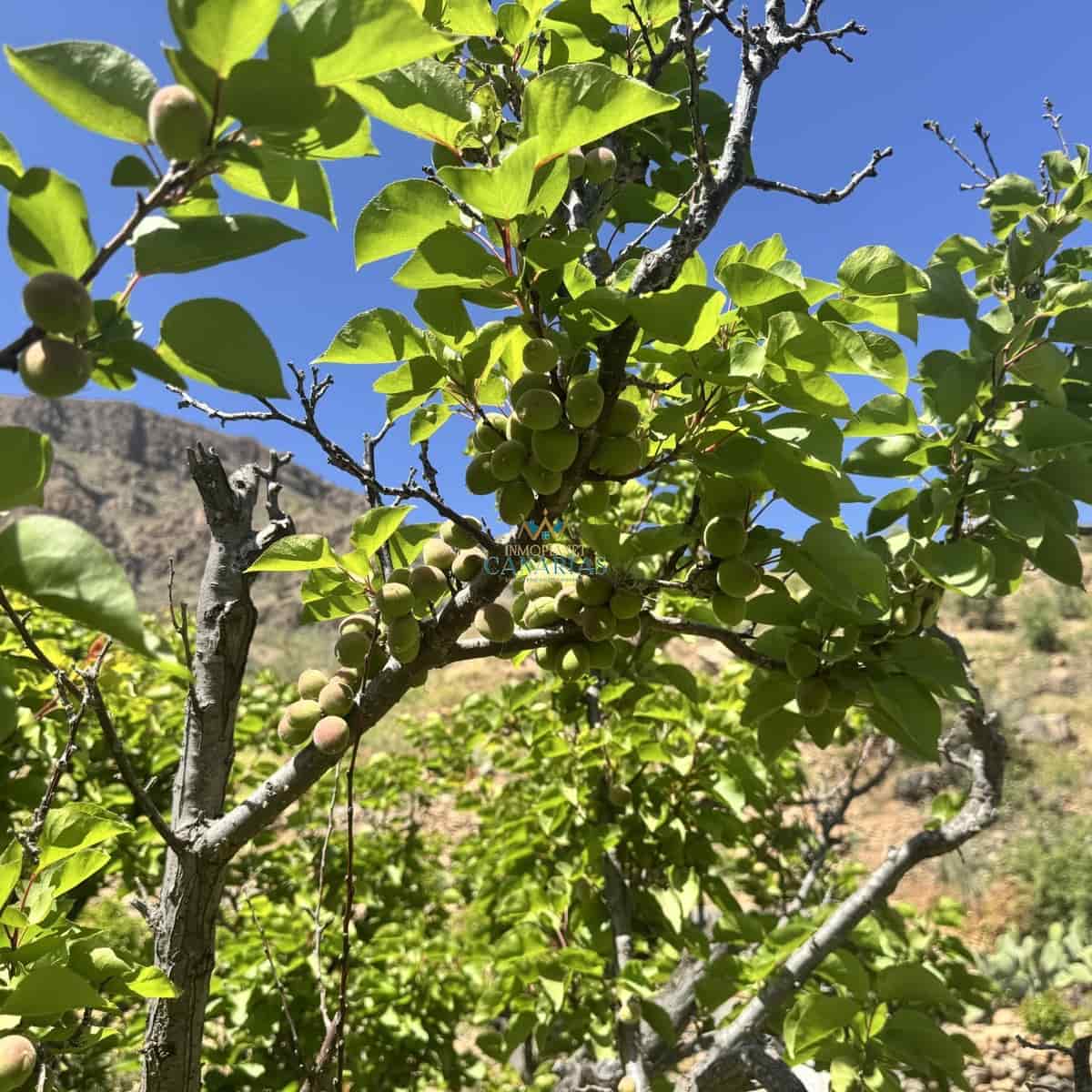 2 bedroom Townhouse for sale in San Bartolome de Tirajana - € 335,000 (Ref: 9547581)