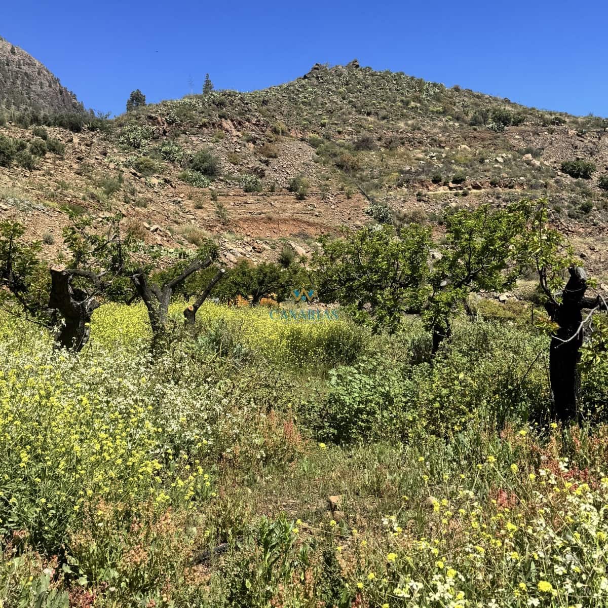 2 bedroom Townhouse for sale in San Bartolome de Tirajana - € 335,000 (Ref: 9547581)