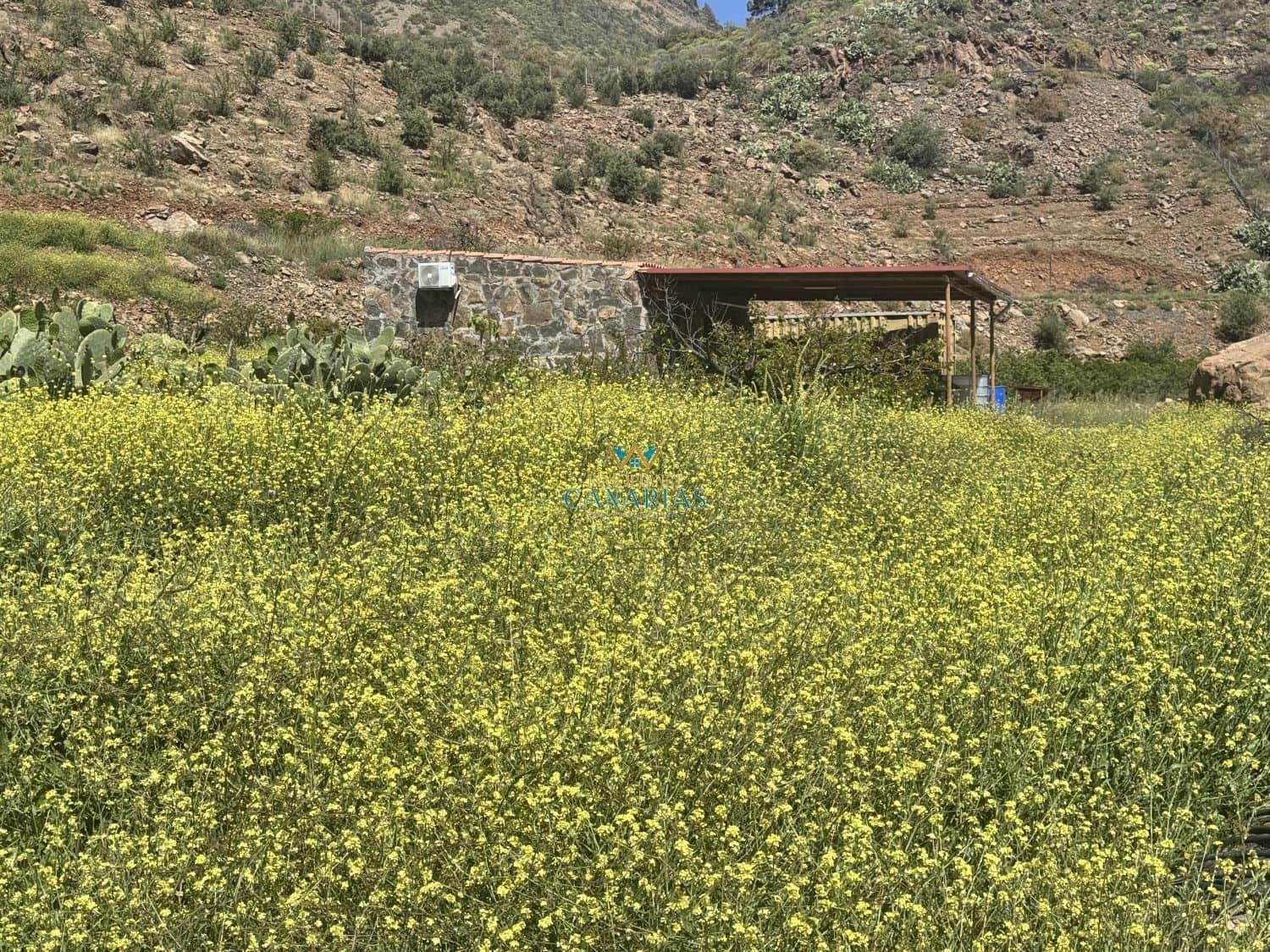 2 bedroom Townhouse for sale in San Bartolome de Tirajana - € 335,000 (Ref: 9547581)