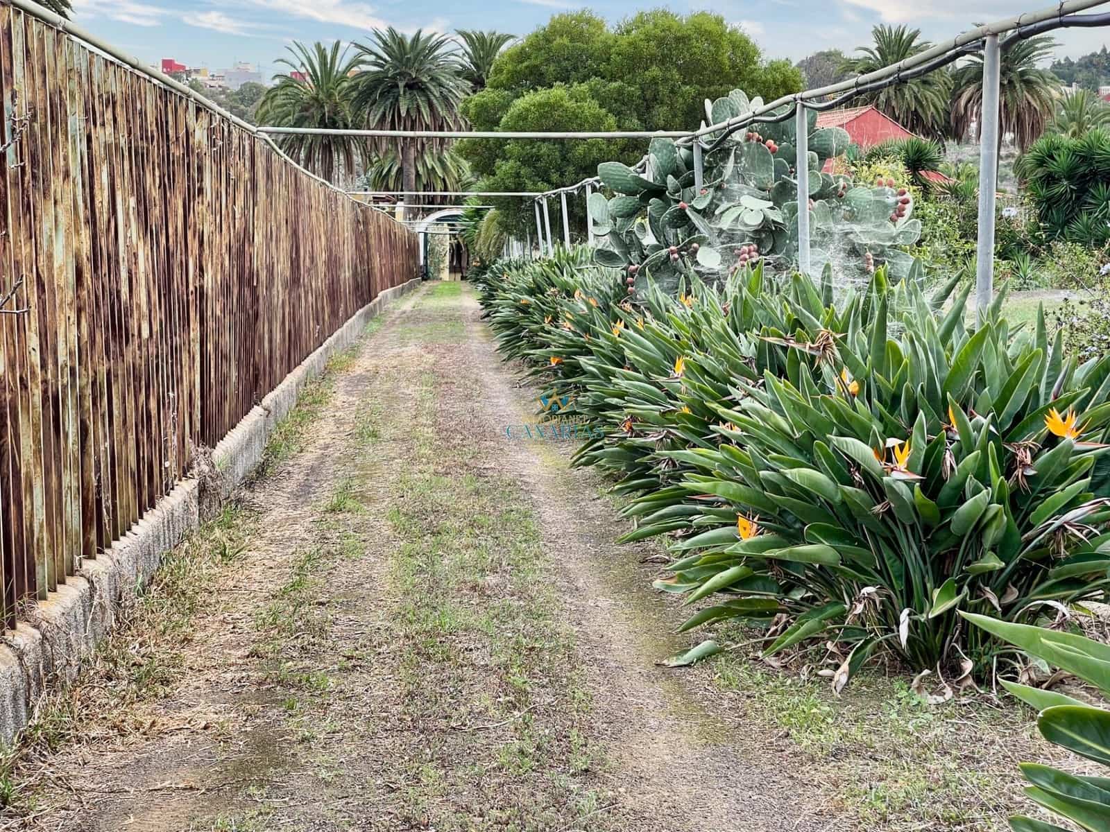 5 slaapkamer Villa te koop in Santa Brigida - € 700.000 (Ref: 9547585)