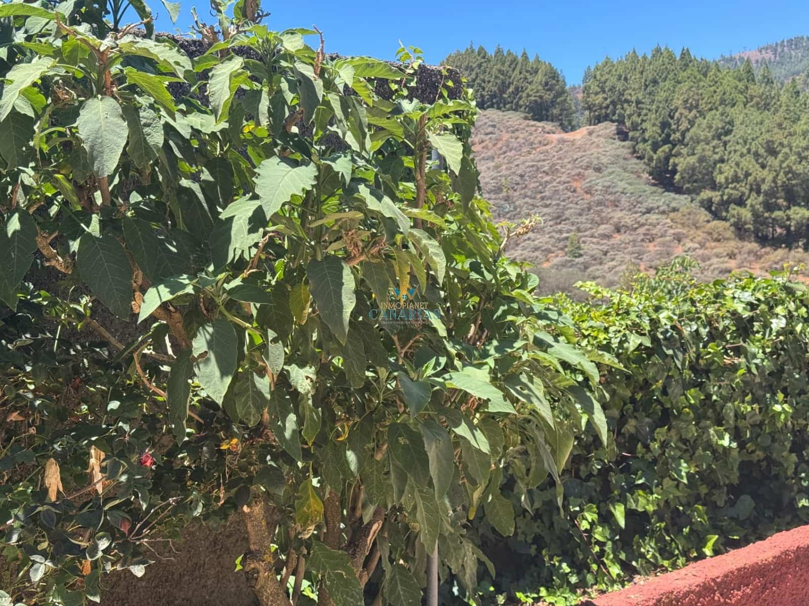 6 soverom Hus til salgs i Valsequillo - € 265 000 (Ref: 9562157)