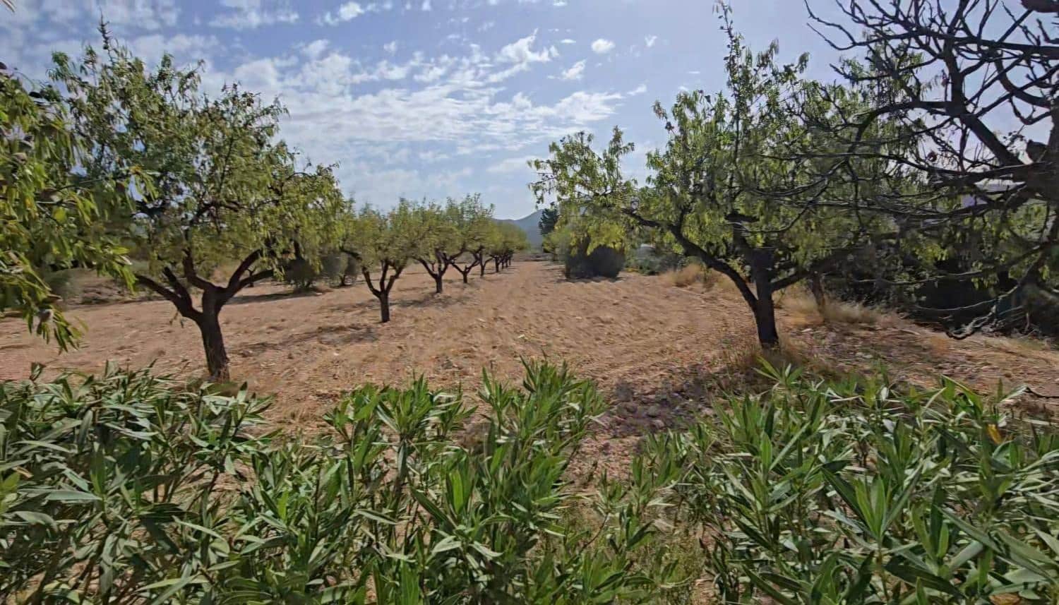 4 bedroom Finca/Country House for sale in Sax with pool garage - € 275,000 (Ref: 10038936)