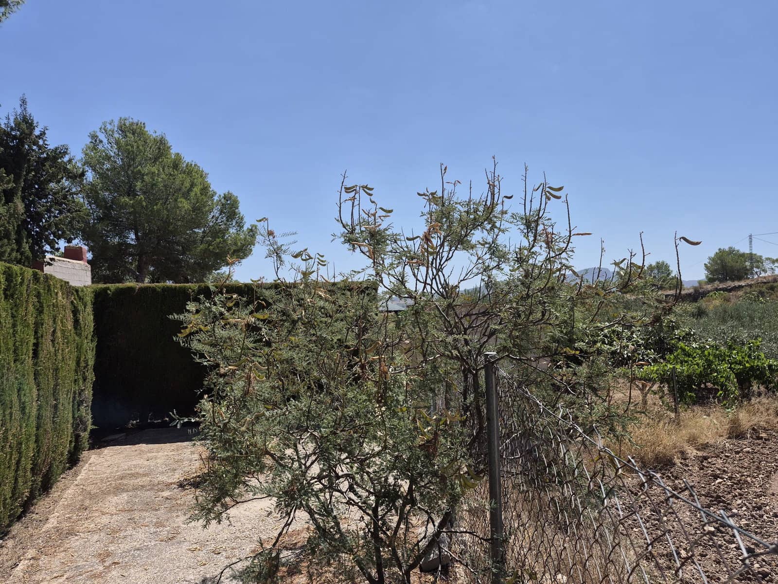 5 slaapkamer Finca/Landhuis te koop in Monovar / Monover met zwembad garage - € 180.000 (Ref: 10117471)