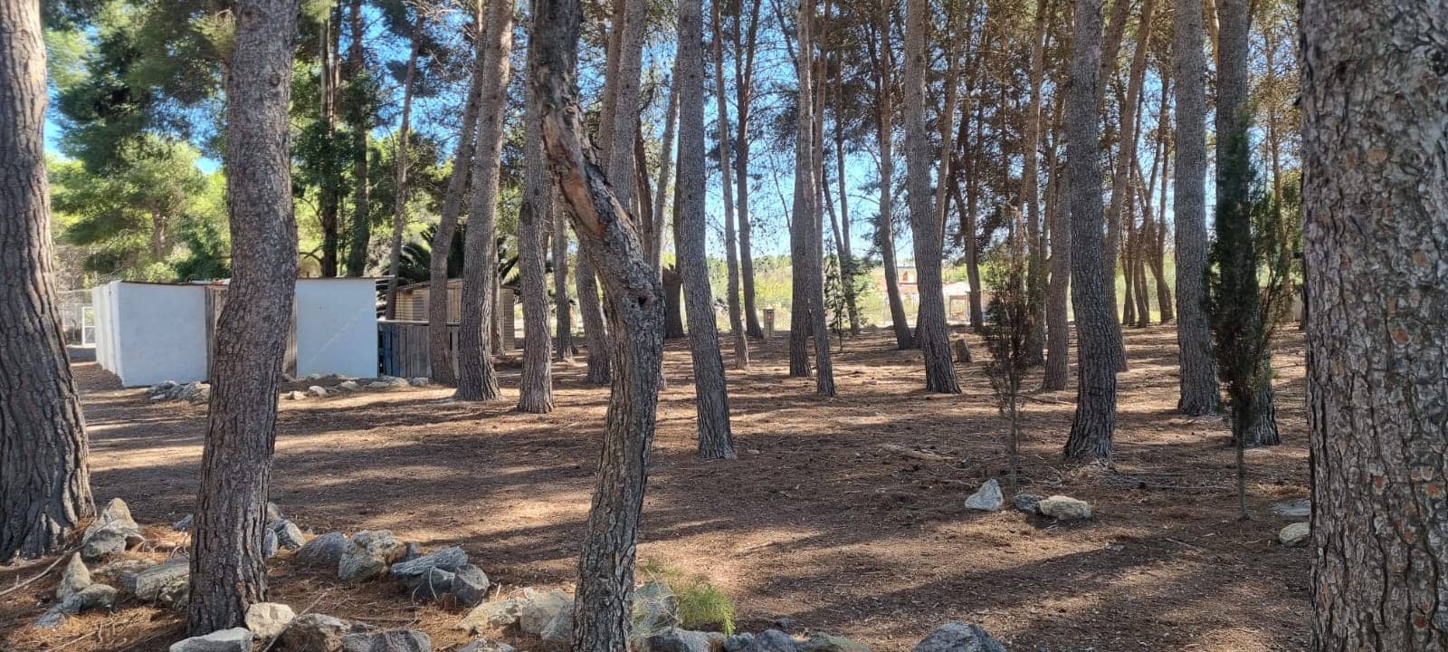 2 bedroom Finca/Country House for sale in Sax with pool garage - € 245,000 (Ref: 10134977)