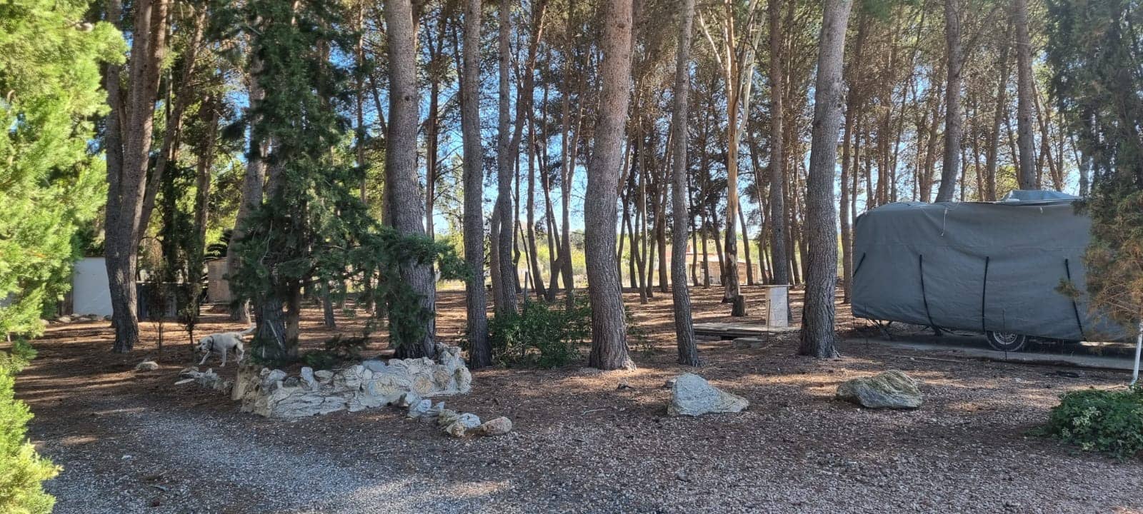 2 bedroom Finca/Country House for sale in Sax with pool garage - € 245,000 (Ref: 10134977)