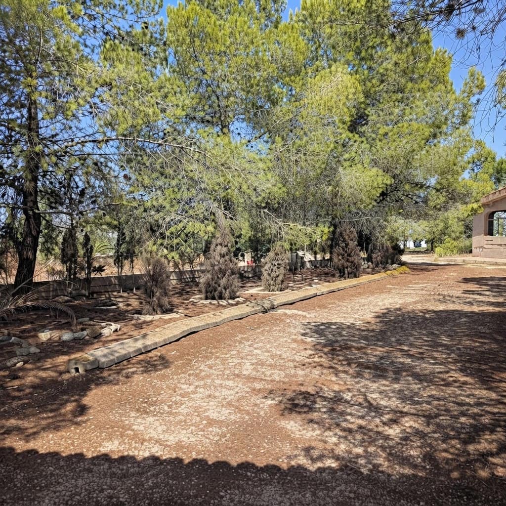 4 bedroom Finca/Country House for sale in Sax with garage - € 148,000 (Ref: 10136391)
