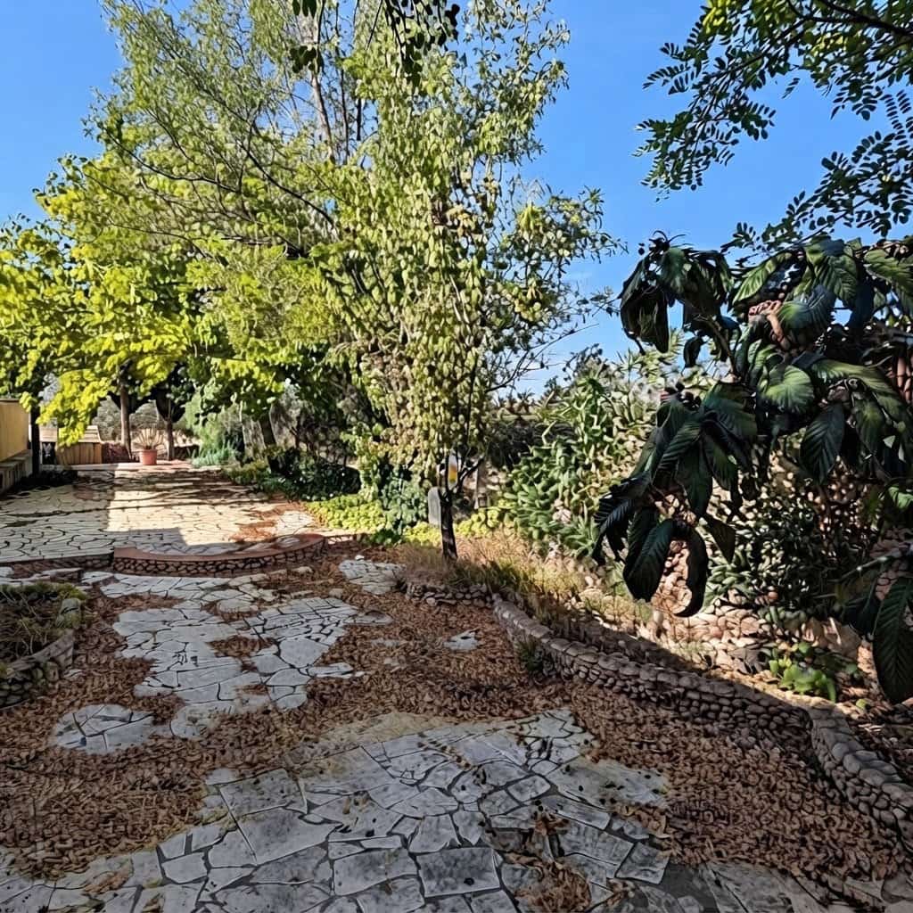 3 bedroom Finca/Country House for sale in Sax with pool garage - € 197,000 (Ref: 10138775)
