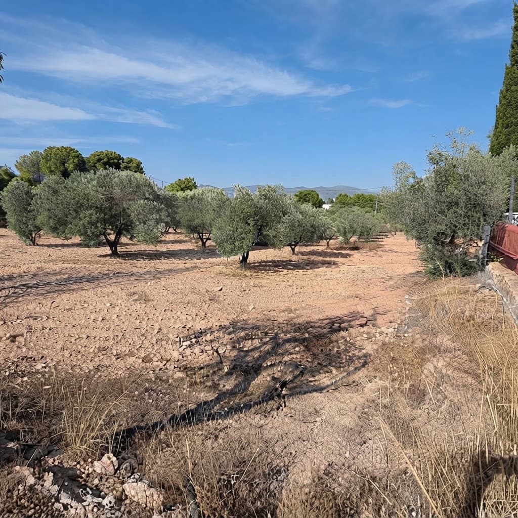 3 bedroom Finca/Country House for sale in Sax with pool garage - € 197,000 (Ref: 10138775)