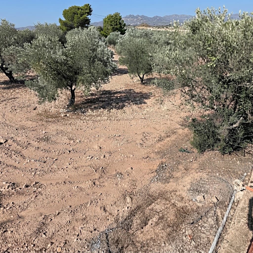 3 bedroom Finca/Country House for sale in Sax with pool garage - € 197,000 (Ref: 10138775)