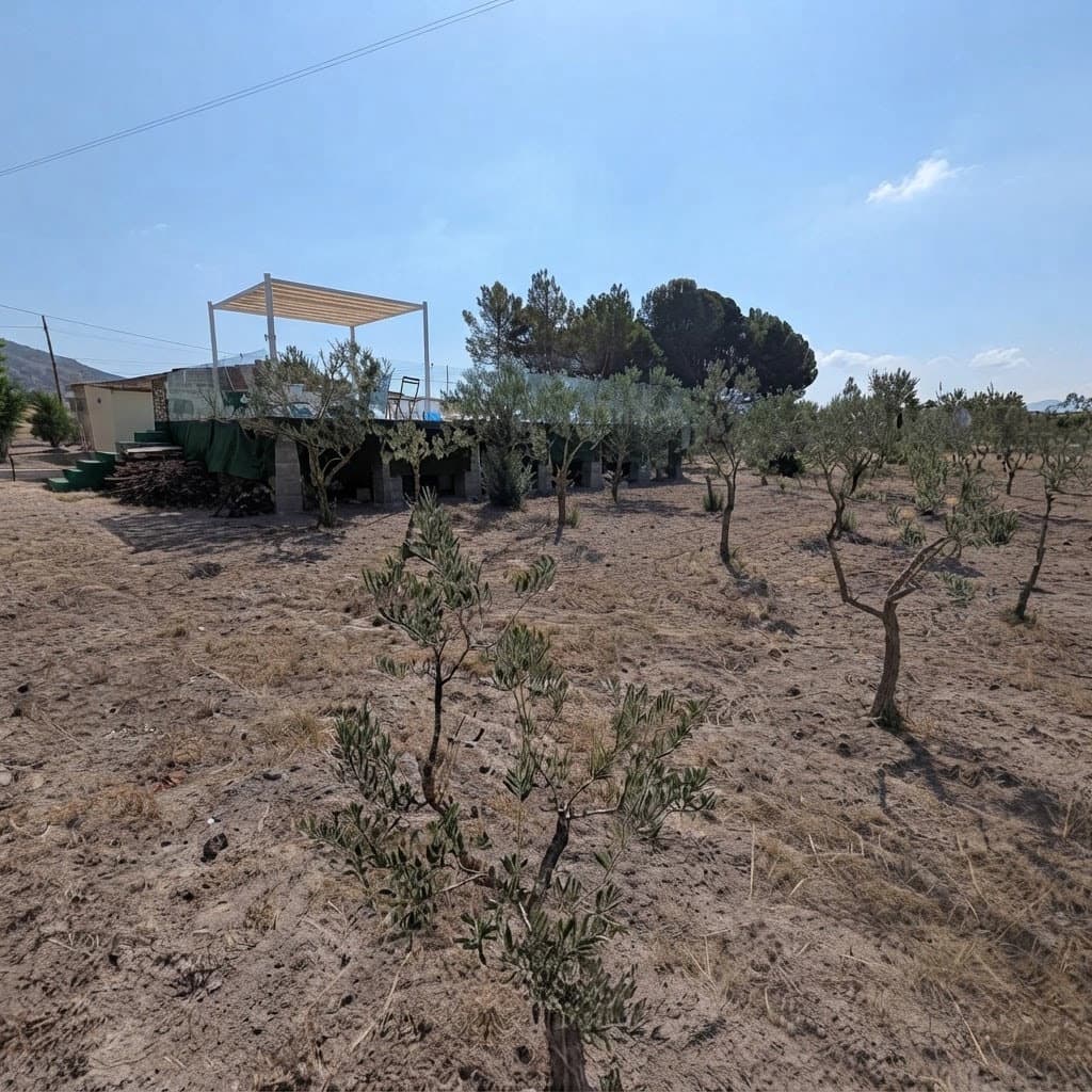 3 bedroom Finca/Country House for sale in Sax with pool garage - € 189,000 (Ref: 10169109)