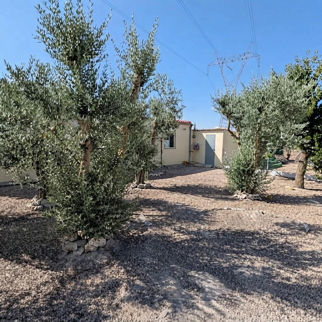 3 bedroom Finca/Country House for sale in Sax with pool garage - € 189,000 (Ref: 10169109)