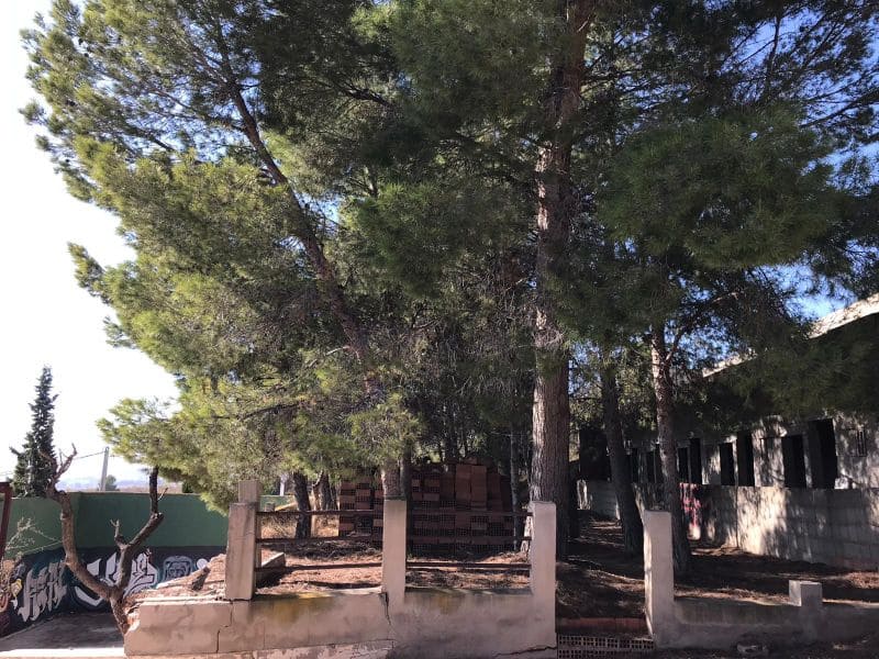 7 chambre Finca/Maison de Campagne à vendre à Salinas avec piscine - 119 995 € (Ref: 6393608)