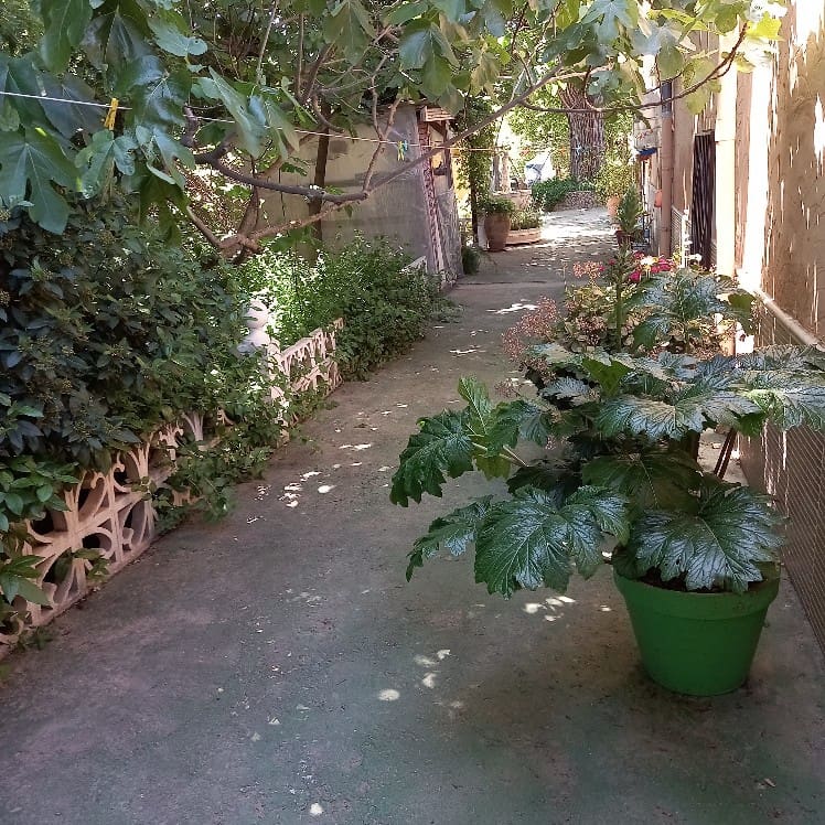 6 slaapkamer Finca/Landhuis te koop in Chinorlet / Xinorlet met zwembad - € 250.000 (Ref: 7070854)